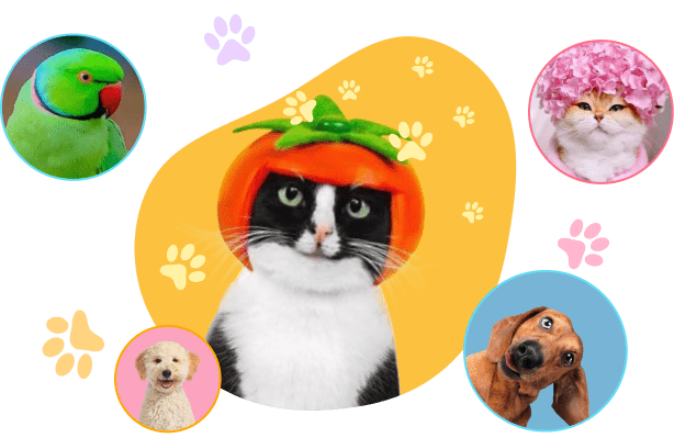 Group 154 (3) Group 154 (3)